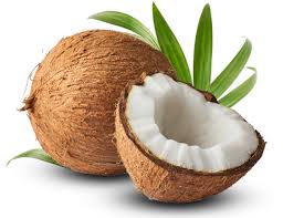 Coconut